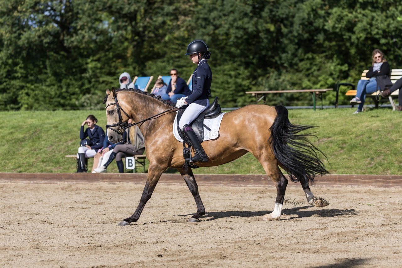 Bild 547 - Pony Akademie Turnier